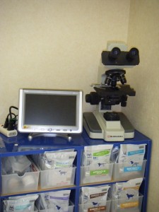 顕微鏡の写真