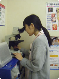 顕微鏡検査の補助