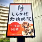 しらかば動物病院